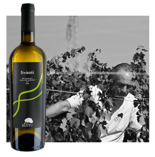Maisthrari + Livanti + Traessale - case of 6 mixed bottles (2+2+2)